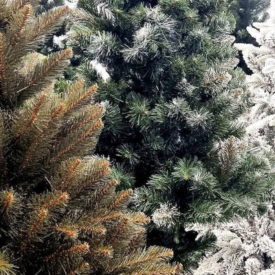 Pemë artificiale Krishtlindjes Springos Premium, 220 cm, me kokrra pishe, jeshile