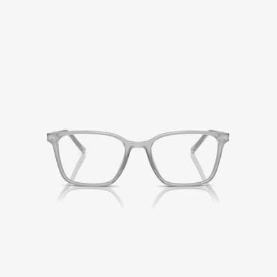Dolce & Gabbana DG3365 3421 54