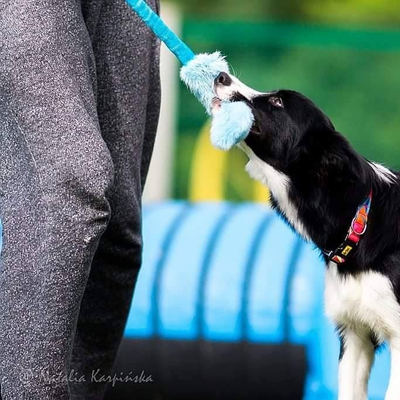 Играчка за кучиња Dingo Dog Chew Toy Artificial Fur On Bungee, 55cm, синтетичко крзно, еластична рачка