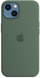 Apple iPhone 13 Silicone Case me MagSafe, Eucalyptus (Seasonal Spring 2022)