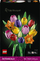 Set LEGO Botanicals Tulip Bouquet 11501, 576 copë, shumëngjyrësh
