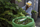 Qese të kompostueshme mbeturinash GreenAware, 150 l, 3 copë