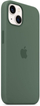 Apple iPhone 13 Silicone Case me MagSafe, Eucalyptus (Seasonal Spring 2022)