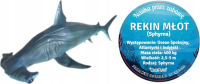Figurë zbukuruese Norimpex Hammerhead Shark, 56 cm, e lyer me dorë