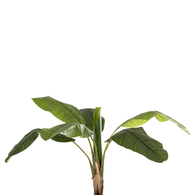 Bimë sintetike Pema Banane 180cm (HM7979)