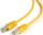 Kabllo rrjeti Gembird RJ45, FTP, 0.25m, e verdhë
