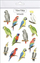 Tatuazhe të larshme Mama Paints Parrots, për fëmijë dhe të rritur, shumëngjyrëshe