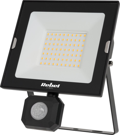 Reflektor LED Rebel Tools, 50W, 6500K, i zi