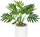 Palmë artificiale dekorative Atmosphera White, 29 cm, vazo qeramike e bardhë