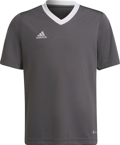 Bluzë sportive për kalamaj Adidas Entrada 22 Jsy Jr, poliester i ricikluar, teknologji AeroReady, gri