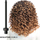 Shtesë për stilimin e flokëve Bellissima 11769 My Pro Twist & Style GT22 200