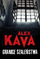 Книга Алекс Кава Граници на лудилото, криминален трилер, роман