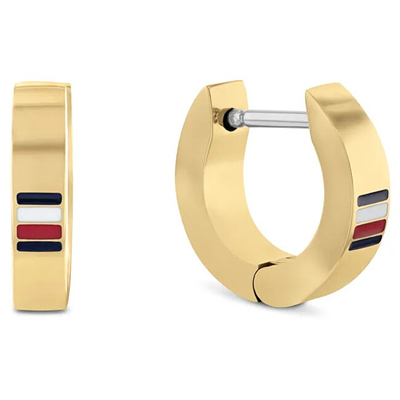 Vathë për meshkuj Tommy Hilfiger Men's Earrings 2790586