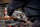 Sharrë prerëse me kënd Metabo KGS 254 M, 1800W, disk 254mm, gri e zezë