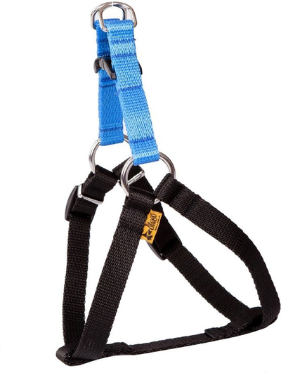 Parzmore qeni Dingo Energy, 48–64 cm, polipropilen, blu me të zezë