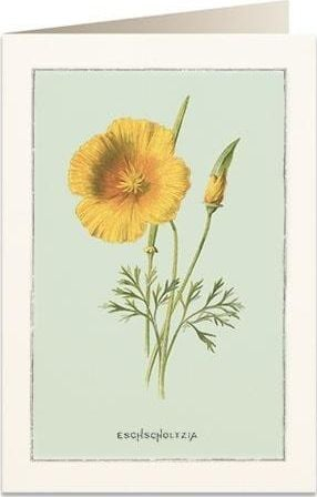 Kartë urimi Tassotti B6 6021 Gilding, me zarf, për zbukurim