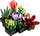 Set LEGO Creator Succulents 10309, Botanical Collection, dekorativ, shumëngjyrësh