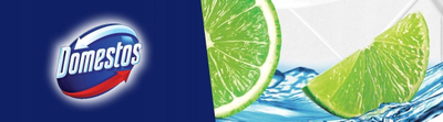 Bllok WC Domestos 3n1 Power Citrus, 35g