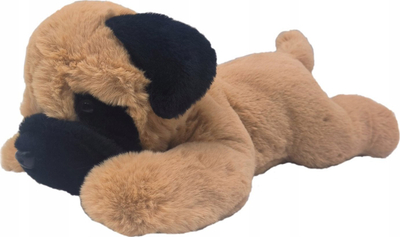 Lodër pelushi Beppe Dog Pug i shtrirë 14078, 35cm, shumëngjyrësh