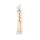 Eau de Parfum Kenzo Ikebana Mimosa, 75 ml