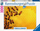 Puzzle Ravensburger Bees, 1000 pjesë, për të rritur, shumëngjyrësh