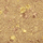 Hije për sy Dermacol Moon Infinity No.02, 4.5g