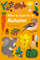 What To Look For In Autumn - Elizabeth Jenner