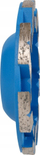Disk bluarës diamant Distar DGS S 100, 100mm, vrimë 22.23mm