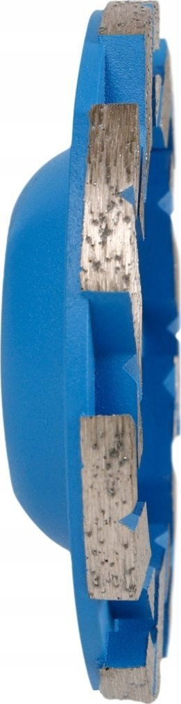 Disk bluarës diamant Distar DGS S 100, 100mm, vrimë 22.23mm