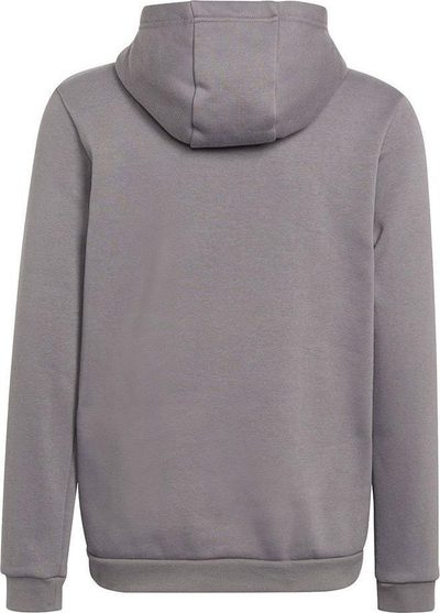 Bluzë me kapuç Adidas Entrada 22 Hoody Jr H57515, për kalamaj, gri