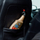 K2 CAYON STRAWBERRY 700 ML