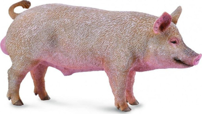 Figurë lodër Collecta Boar, derr i egër, plastikë, shumëngjyrëshe