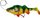 Karrem artificial me grep dhe drejtues Savage Gear 4D Perch Shad, 12.5cm, 25g, SS Firetiger (61795)