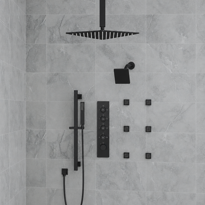 Set dushi Everstein, kokë tavan 16", dush dore me shufër, i zi matte