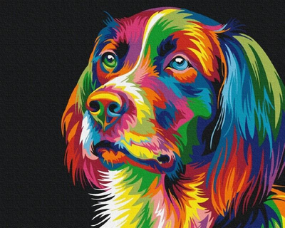Set pikture me numra Dog in Colors, 40x50 cm, me kornizë druri, shumëngjyrësh