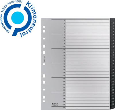 Ndarës dosjesh Leitz Recycle Index PP Extra Wide, A4, 1 31, shumëngjyrësh