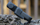 Kuti silikoni Sunnylife për DJI Osmo Pocket 3, mbrojtëse, e zezë