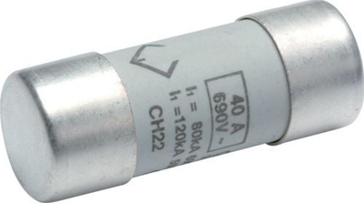 Siguresë cilindrike Hager BiWtz LF540G, 40A, 690V
