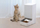 Ushqyes automatik Xiaomi Smart Pet Feeder, kontroll nga telefoni, depo e mbyllur, i bardhë