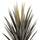 Bimë sintetike Sisal Agave në vazo (HM7987)