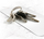 Xham mbrojtës InvisibleShield Glass Elite+ për Apple iPad Pro 12.9", gjenerata 3–6, transparent