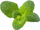 Kapsula me bimë Click &amp; Grow Apple Mint, për Smart Garden, set me 3 copë, jeshile
