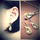Qafore Levien sLE0207