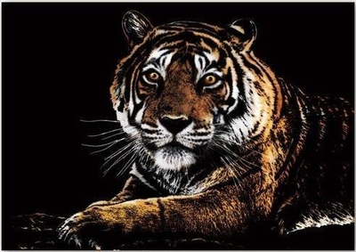 Karton gërvishtës Yuelu Magic Scratch Card Tiger, 40.5x28.5cm, për skicim, shumëngjyrësh