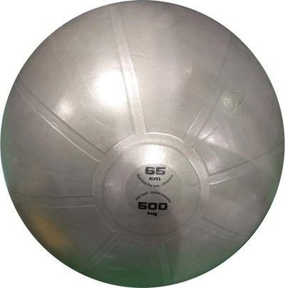 Top palestre Toorx Gymball PRO ABS, 65 cm, gri