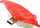 USB flash sushi, me pamje gazmore, e vogël, e kuqe