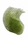 Mask? p?r zon?n e syve Mizon Phyto Plump Collagen, 60 x 1.5 g