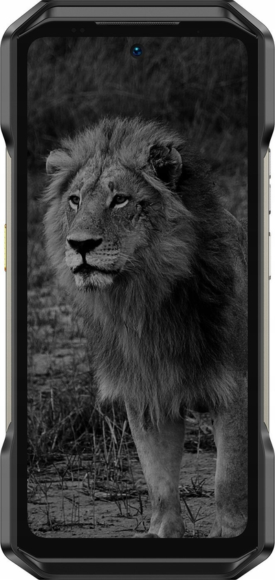 Telefoni Ulefone Armor 27 Pro, 12GB RAM, 256GB, i zi