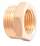 Reduktim bronzi F M, 1 1/2", 3/4"