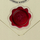 Bllok shënimesh Harry Potter Envelope, dizajn letër pranimi Hogwarts, krem